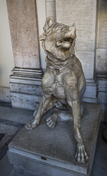 DSC 5441