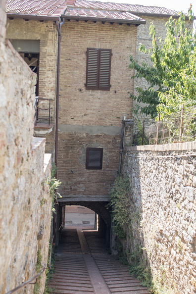 DSC 10004