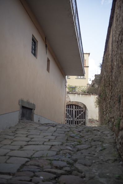 DSC 0084